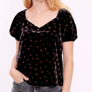 NWT LOFT Velvet Puff Sleeve Top Blouse, XL - Black with Red Roses 🌹